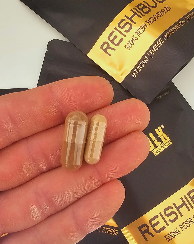 ReishiBulk - Reishi 500mg - Vegan - BeBulk Nutrition